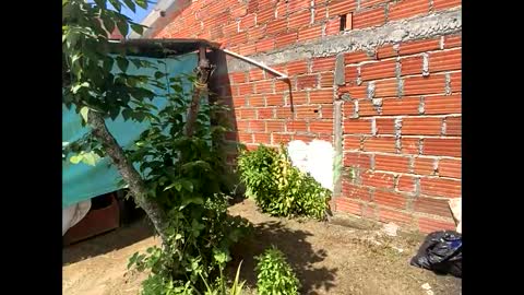 Smith  online show from 12/08/24, 05:01