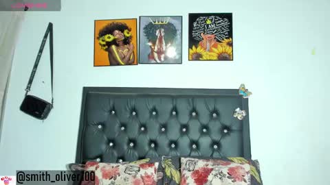 Smith  online show from 01/15/25, 08:26