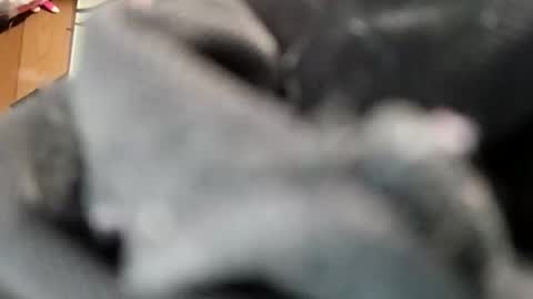 smokesum4me online show from 05/08/26, 06:19