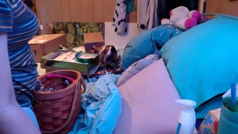 DIAN dee-ann online show from 12/24/24, 02:54