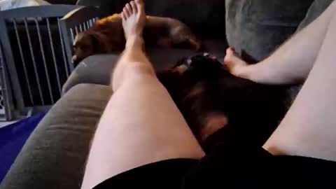 Snapshot of smokynight chatting on 09/14/25, 11:26 smokynight online show from 09/14/25, 11:26