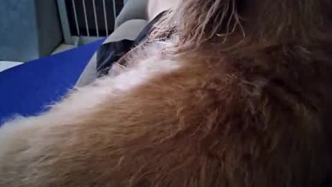 Snapshot of smokynight chatting on 09/26/25, 08:57 smokynight online show from 09/26/25, 08:57