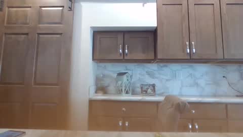 Snapshot of smoothvodka chatting on 01/30/25, 07:48 Bambi--Vodka online show from 01/30/25, 07:48