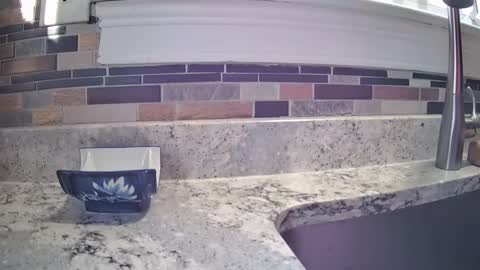 smthbtm53 online show from 03/14/26, 01:16