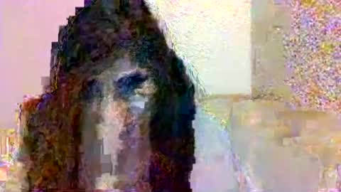 Snapshot of smurdle11 chatting on 10/25/25, 03:29 smurdle online show from 10/25/25, 03:29