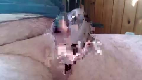 sn0man69 online show from 01/06/25, 02:47