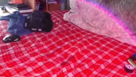 Snail online show from 02/17/26, 02:35