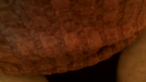 Snapshot of snakepit31 chatting on 03/02/25, 06:51 Sissy Boy online show from 03/02/25, 06:51