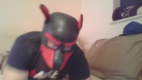 SoftPuppy online show from 01/09/26, 10:33