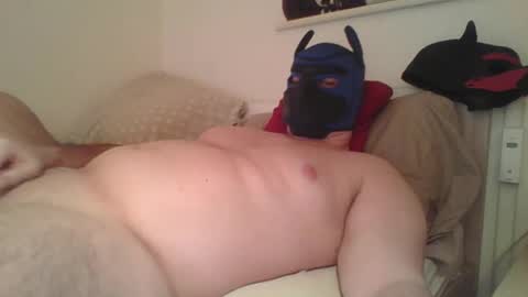 SoftPuppy online show from 01/12/26, 09:09