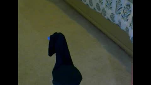 snizniz online show from 12/02/24, 04:09