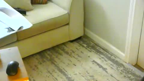 snizniz online show from 01/21/25, 06:23