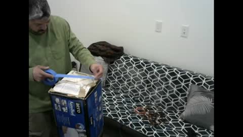 snizniz online show from 02/11/25, 06:30