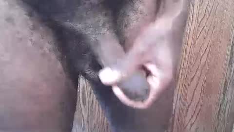 Snapshot of snkr1244 chatting on 09/13/25, 06:29 snkr1244 online show from 09/13/25, 06:29