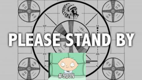 kitten online show from 01/06/25, 08:18