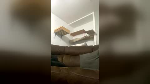 Snapshot of snowball5499 chatting on 03/13/26, 01:01 snowball5499 online show from 03/13/26, 01:01