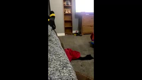 Snapshot of snowball5499 chatting on 04/03/26, 03:26 snowball5499 online show from 04/03/26, 03:26