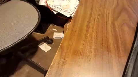 watchmecum online show from 02/15/26, 01:09