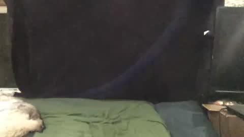 Riley Ray online show from 11/01/25, 01:51