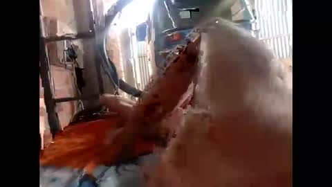 snqhephncxpu online show from 02/17/26, 01:18