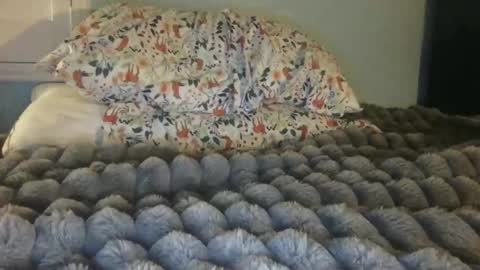 soccerstarnoww online show from 01/24/25, 10:00