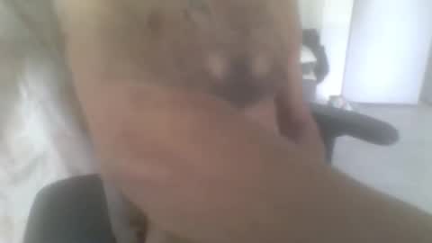 Snapshot of sodomite754 chatting on 11/09/25, 05:06 sodomite754 online show from 11/09/25, 05:06