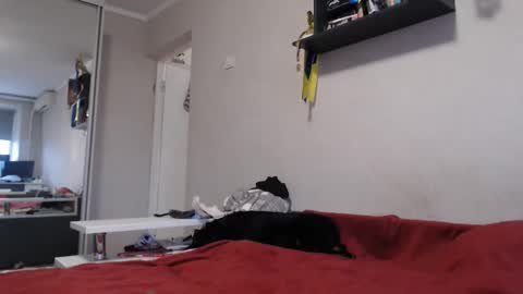 Sofi online show from 11/11/25, 12:27