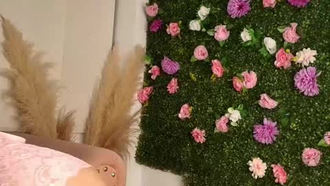 Sofi  online show from 01/15/26, 06:55