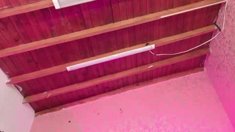 Snapshot of sofia_martinn chatting on 11/14/25, 03:05 Sofia online show from 11/14/25, 03:05