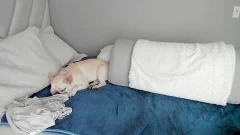 Snapshot of sofia_rivers_ chatting on 03/01/25, 12:23 sofia_rivers_ online show from 03/01/25, 12:23