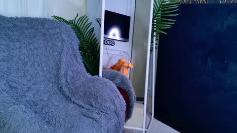 Sofia online show from 04/01/26, 05:52