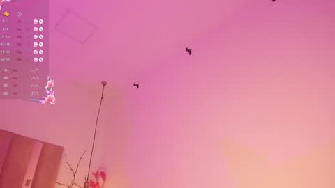 Sofie online show from 12/27/24, 07:57