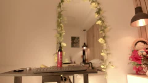 Snapshot of sofiesoft chatting on 01/05/26, 05:27 Sofie online show from 01/05/26, 05:27