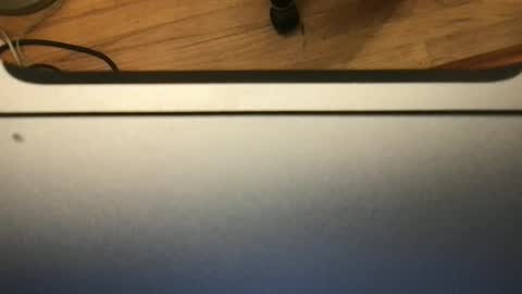 soflastiffyboy69 online show from 11/13/25, 08:19