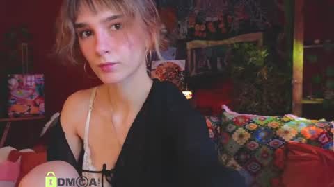 Snapshot of soft_animal chatting on 07/30/26, 11:53 E online show from 07/30/26, 11:53