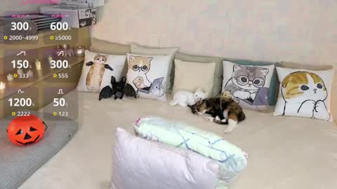 Snapshot of soft_purr_kitty chatting on 10/31/25, 07:37 Mia online show from 10/31/25, 07:37
