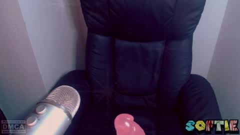 Snapshot of soft_serv chatting on 03/25/26, 06:30 Softie 3 online show from 03/25/26, 06:30