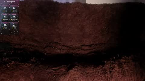 Sofy online show from 02/20/26, 09:59