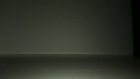 L4 online show from 11/12/25, 07:03