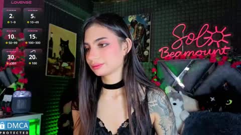 Snapshot of solbeaumont chatting on 04/14/26, 07:53 Sol online show from 04/14/26, 07:53