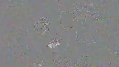 Snapshot of solilay chatting on 03/29/26, 02:28 solilay online show from 03/29/26, 02:28