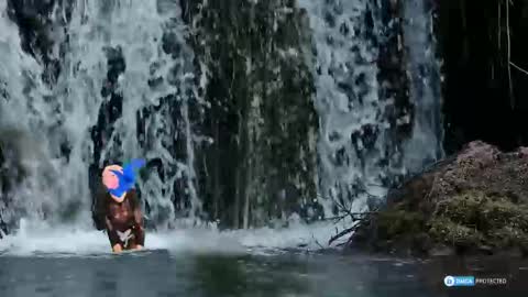 solisii online show from 11/01/25, 09:11