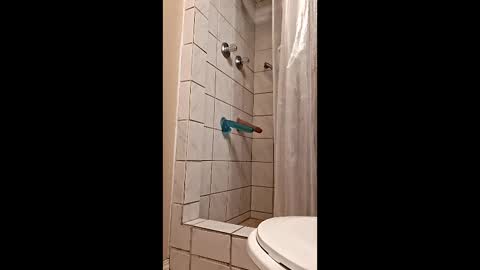 Snapshot of sologirl81 chatting on 02/06/26, 05:38 sologirl81 online show from 02/06/26, 05:38