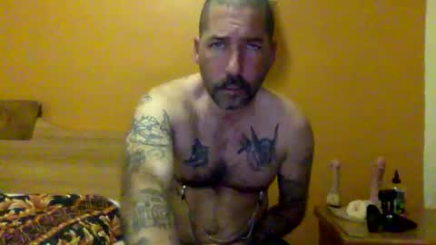 Snapshot of sontoddy chatting on 12/20/24, 01:47 Ryan online show from 12/20/24, 01:47