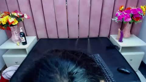 sophi_hardd online show from 12/13/24, 10:13