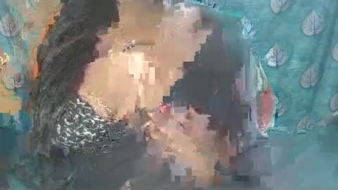 Sophia Tamil online show from 02/24/25, 08:38