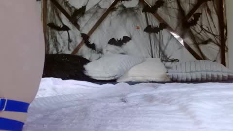 Snapshot of sophiaalee chatting on 10/15/25, 11:27 SophiaLee online show from 10/15/25, 11:27