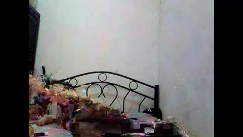 Snapshot of sophialaurel chatting on 10/01/25, 06:52 sophialaurel online show from 10/01/25, 06:52