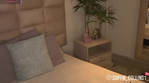 Snapshot of sophiecollins_1 chatting on 06/30/26, 11:55 Sophie online show from 06/30/26, 11:55