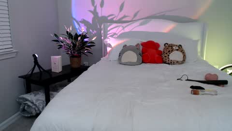 Snapshot of sophieeestar chatting on 01/07/25, 12:55 Sophie Star online show from 01/07/25, 12:55